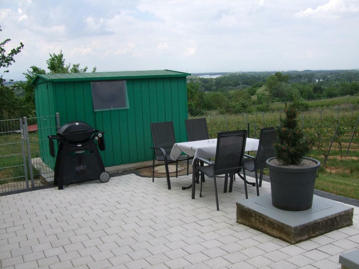 Ferienwohnung Rheinblick Bad Bellingen Exterior foto